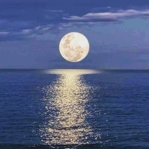 Meet your Posher, Freddy